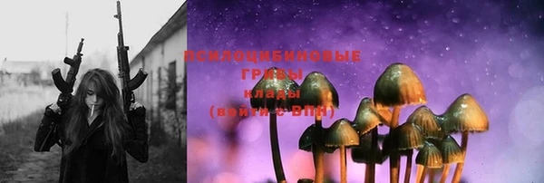 твердый Алексеевка
