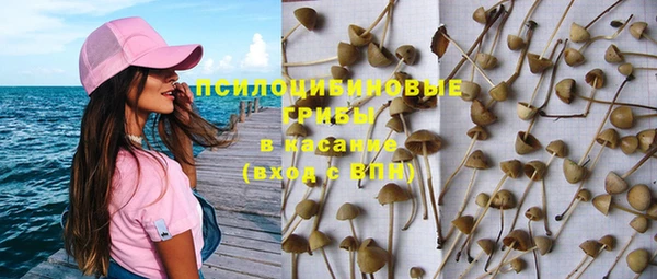 дживик Алексин