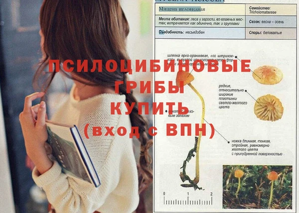 дживик Алексин
